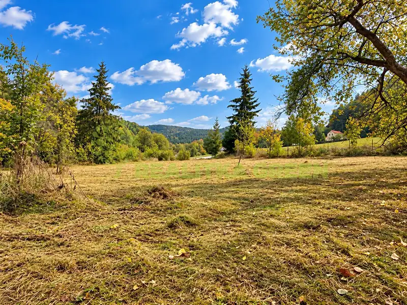 Prodej stavebního pozemku 2296 m², Růžďka – náhled fotky 1