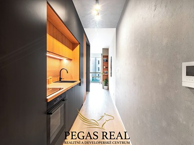 Wohnung 1+kk zum Kauf, 30 m² (3 von 20)
