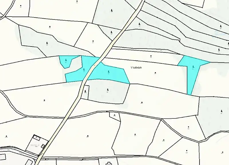 Prodej lesa 7493 m², Proseč – náhled fotky 3