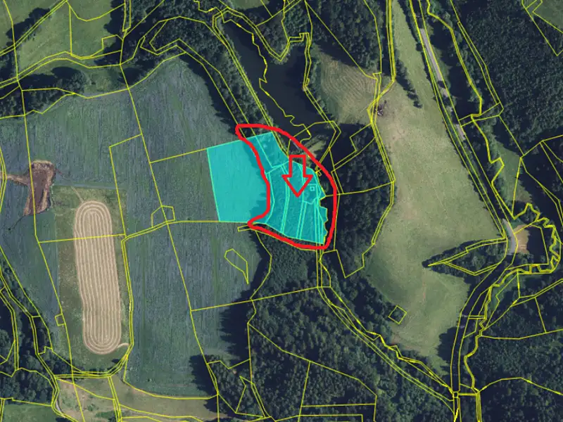 Prodej lesa 10342 m², Jedlí – náhled fotky 2