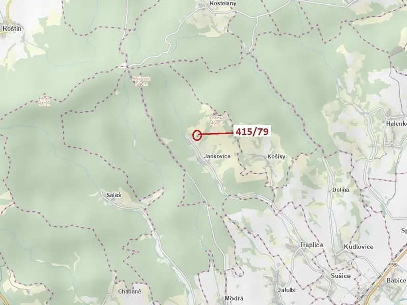 Dražba louky 2523 m², Jankovice – náhled fotky 1