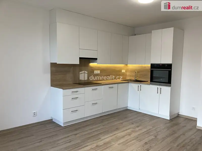 Pronájem bytu 2+kk 64 m², Plzeň – náhled fotky 1