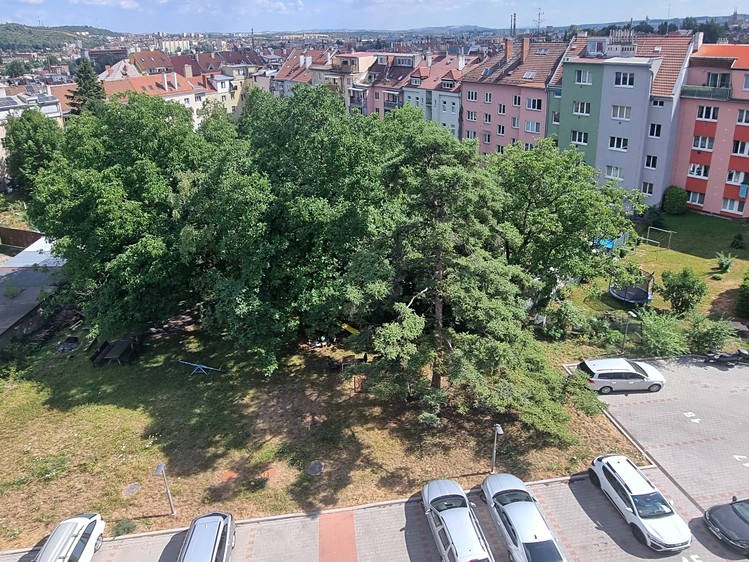 Ostatní