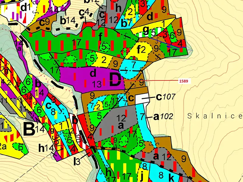Dražba lesa 29098 m², Slavče – náhled fotky 3