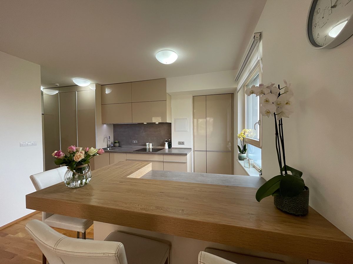Pronájem bytu 1+kk 52 m² – fotografie 4
