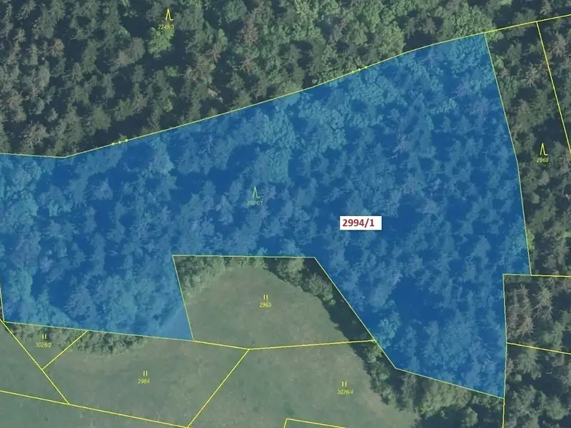 Dražba lesa 15135 m², Lačnov – náhled fotky 2
