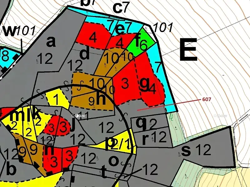 Dražba lesa 10437 m², Kuřimany – náhled fotky 3