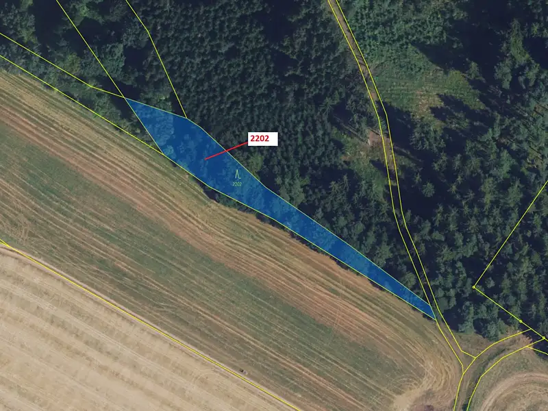 Dražba lesa 1919 m², Městečko Trnávka – náhled fotky 2