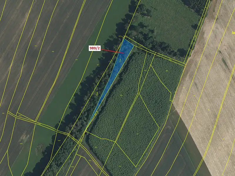 Dražba lesa 1874 m², Volfířov – náhled fotky 2