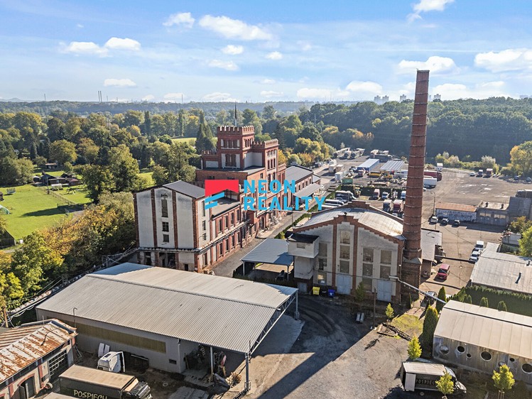 Gewerbefläche zur Miete, 244 m² (2 von 23)