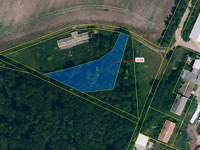 Dražba lesa 1903 m², Čejkovice – náhled fotky 2