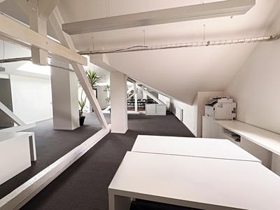 Gewerbefläche zur Miete, 270 m² (3 von 11)