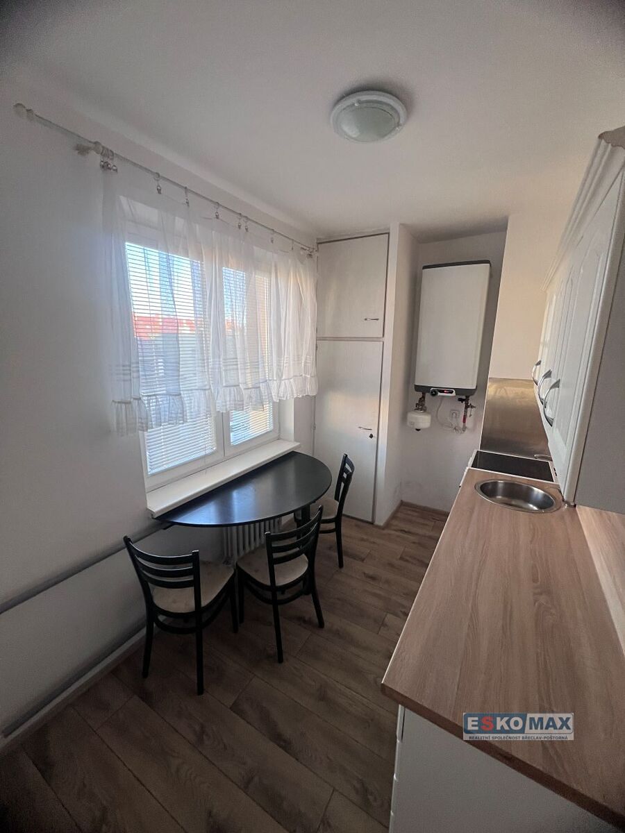 Pronájem bytu 2+1 60 m², Hodonín – fotka 1 z 3