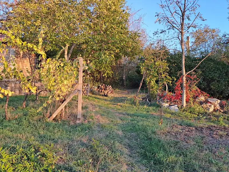 Prodej zahrady 2010 m², Dolní Kounice – náhled fotky 2