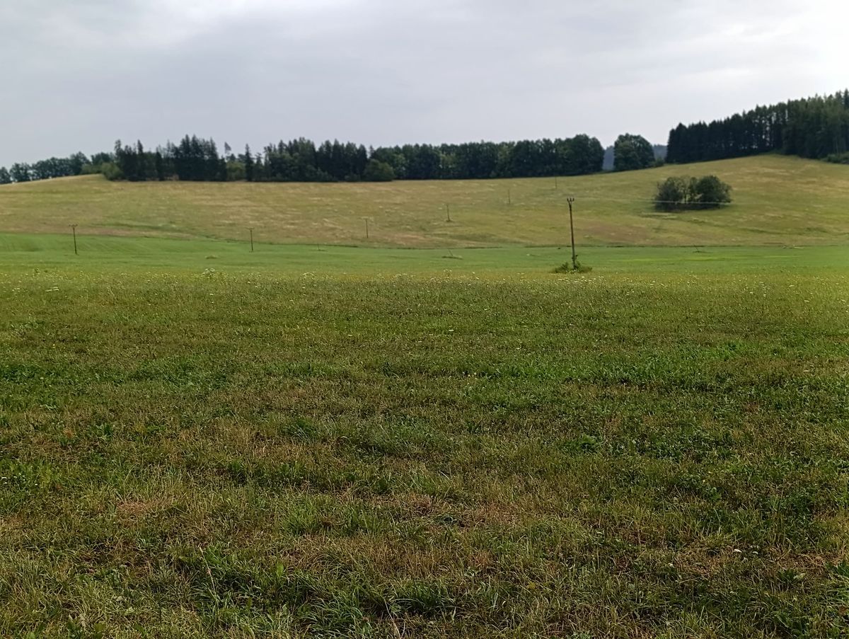 Prodej stavebního pozemku 2589 m², Malšín – fotka 1 z 3