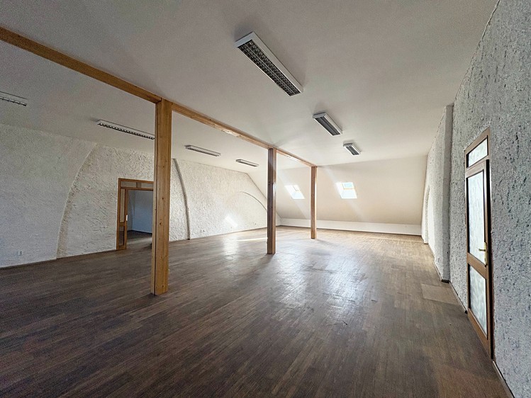 Gewerbefläche zum Kauf, 700 m² (11 von 25)