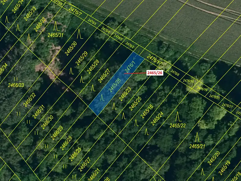 Dražba lesa 178 m², Horní Dunajovice – náhled fotky 2
