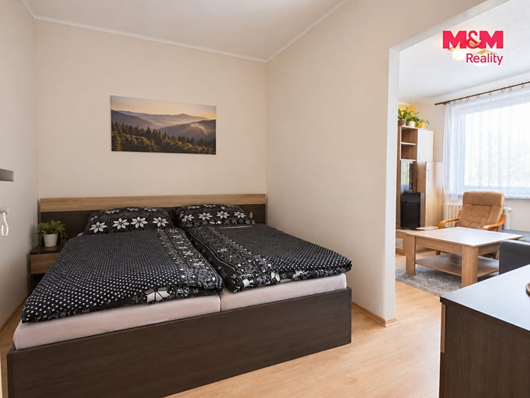 Wohnung 1+1 zur Miete, 42 m² (4 von 7)