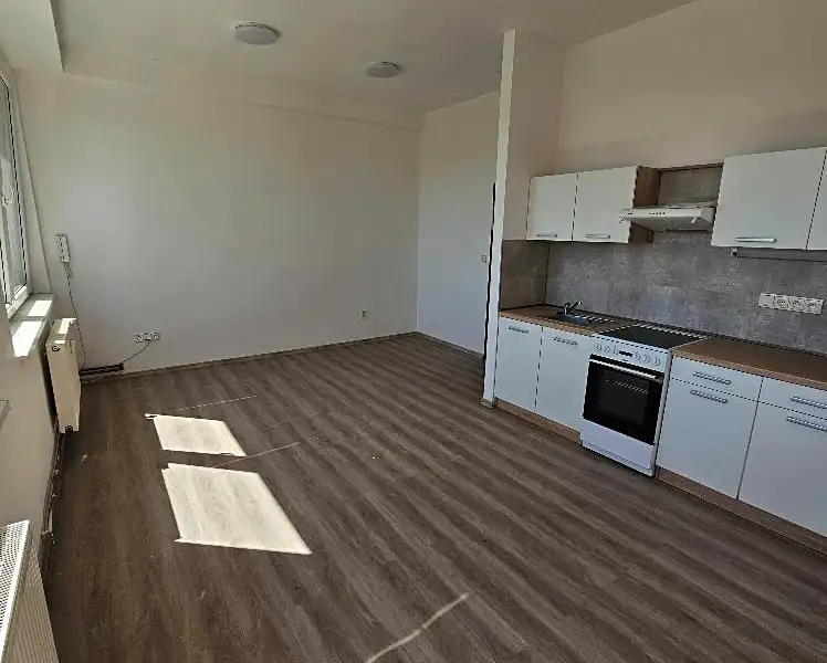 Pronájem bytu 2+kk 50 m², Mlékojedy – náhled fotky 2