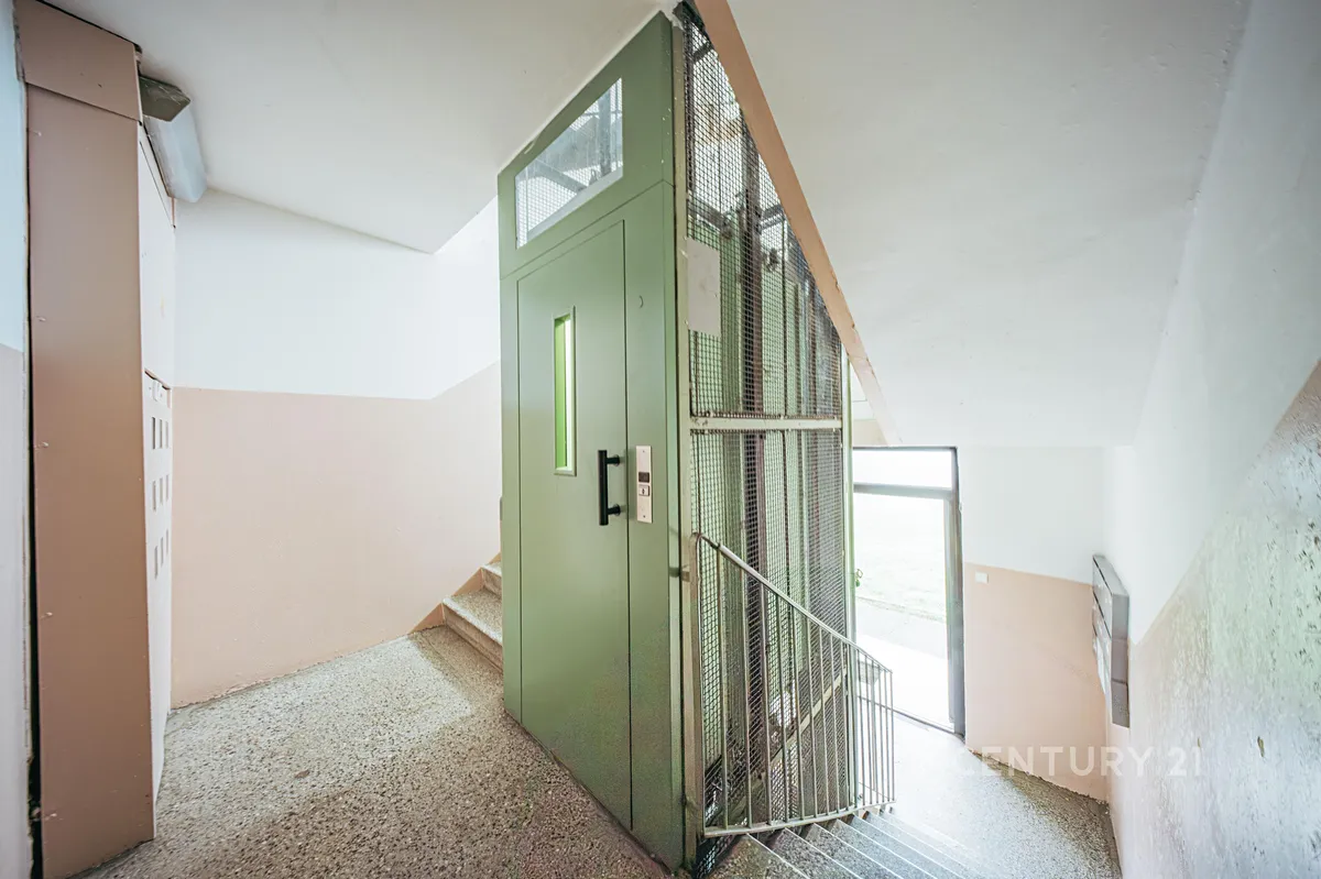 Fotka 12 z 13