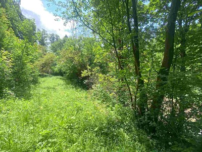 Grundstück zum Kauf, 933 m² (3 von 6)