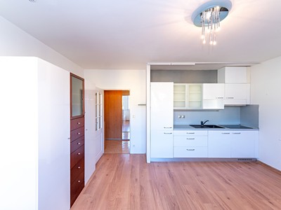 Wohnung 1+kk zur Miete, 30 m² (3 von 12)
