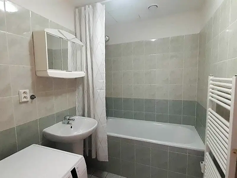 Pronájem bytu 1+kk 44 m², Praha – náhled fotky 3