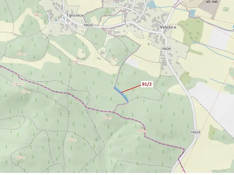 Dražba lesa 1363 m², Pačejov – náhled fotky 1