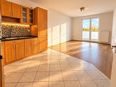 Pronájem bytu 2+kk, 46 m² (2 z 17)