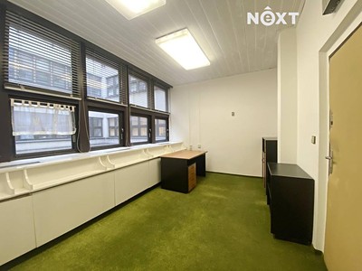 Pronájem komerčního prostoru, 16 m² (2 z 4)