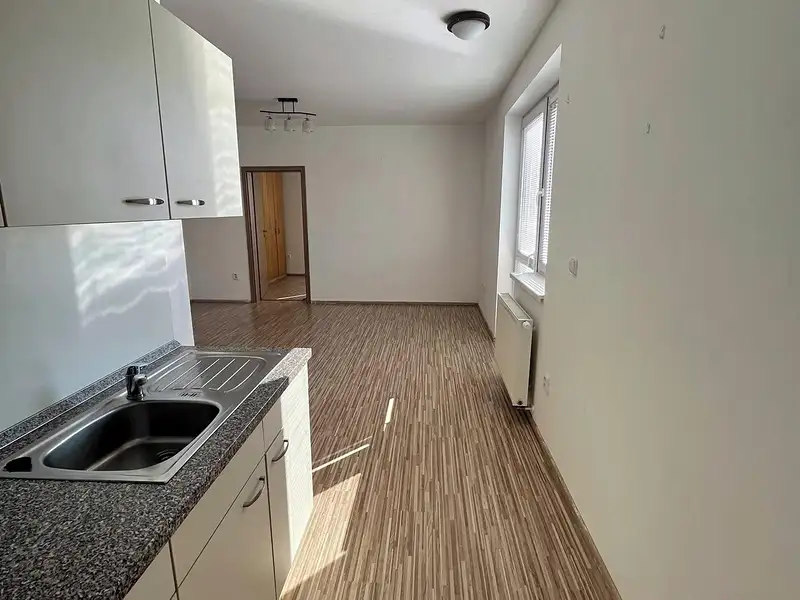 Pronájem bytu 2+kk 44 m², České Budějovice – náhled fotky 2