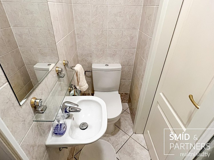 Wohnung 5+kk zum Kauf, 245 m² (26 von 35)
