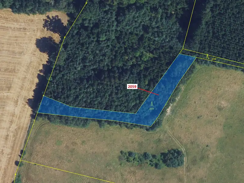 Dražba lesa 2241 m², Městečko Trnávka – náhled fotky 2