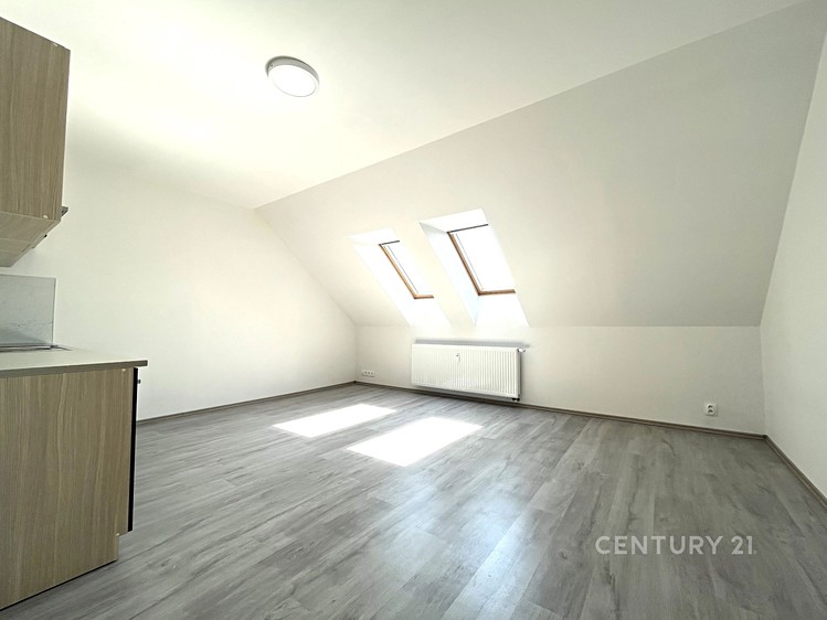 Pronájem bytu 1+kk, 38 m² (2 z 7)