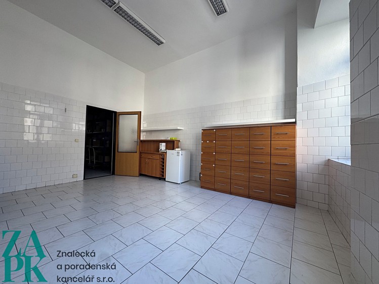 Pronájem komerčního prostoru, 226 m² (14 z 31)