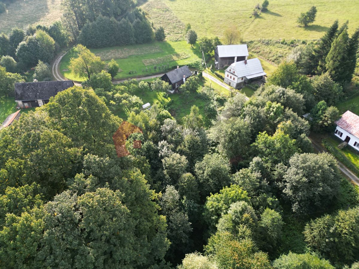 Prodej stavebního pozemku 2978 m², Písečná – fotka 1 z 3