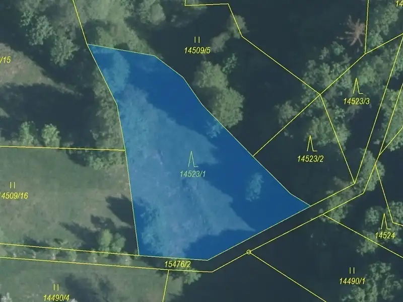 Dražba lesa 1547 m², Hovězí – náhled fotky 2