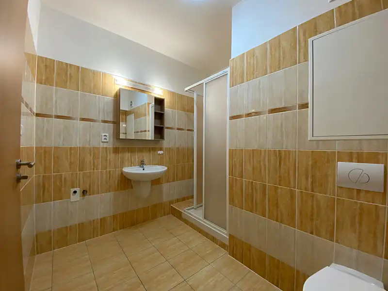 Pronájem bytu 1+kk 59 m², Hlučín – náhled fotky 2