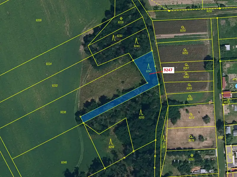 Dražba lesa 550 m², Oleksovice – náhled fotky 2