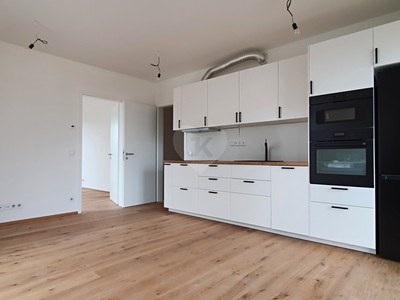 The 2+kk flat for rent, 47 m² (3 of 11)