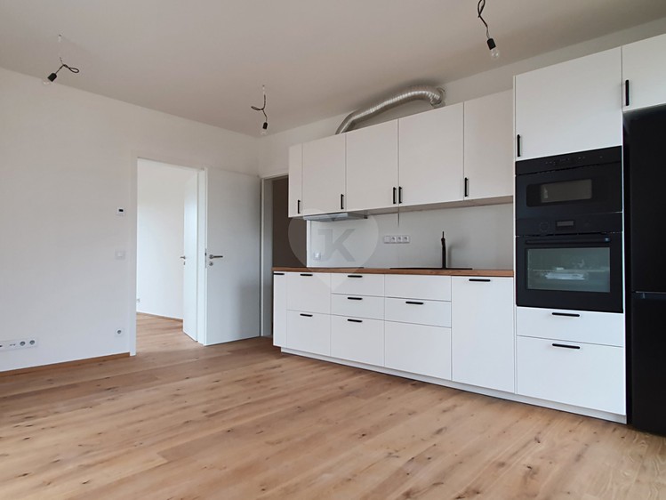 The 2+kk flat for rent, 47 m² (3 of 11)