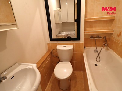 Prodej bytu 1+1, 27 m² (3 z 22)