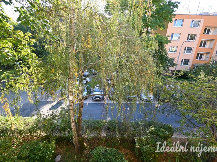 Ostatní