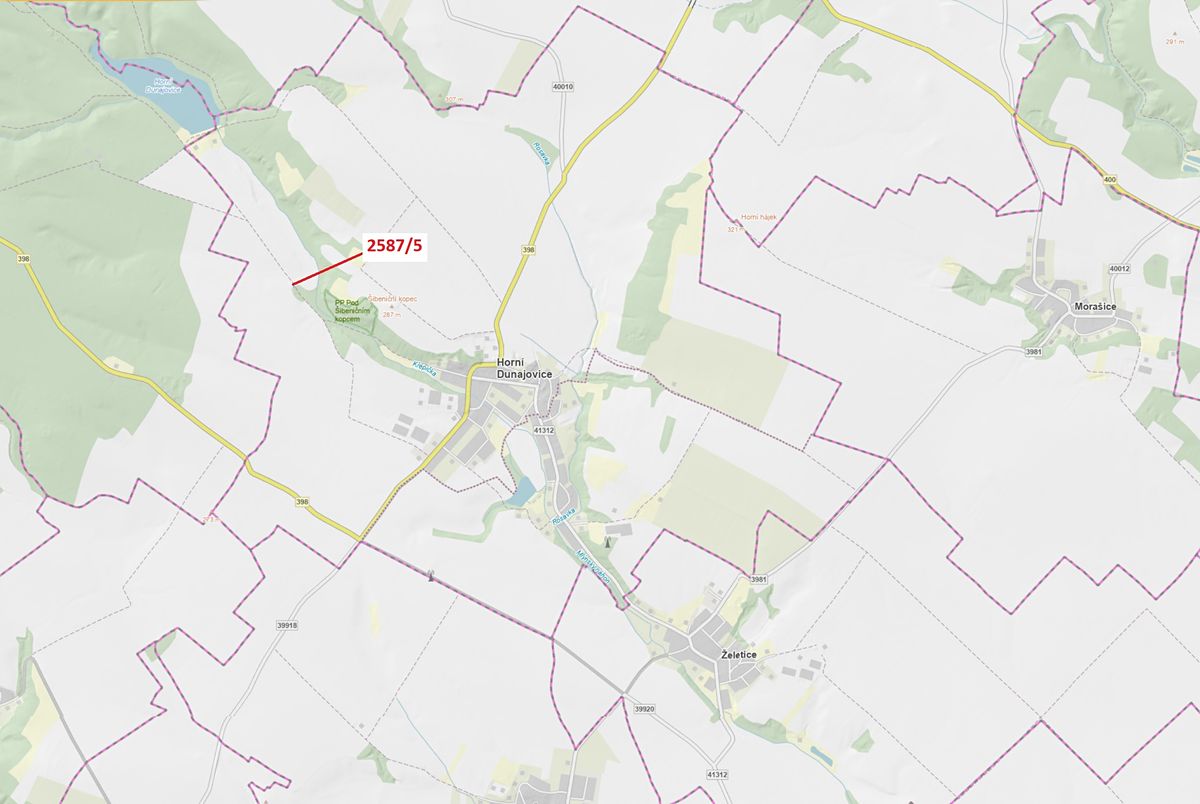 Dražba lesa 78 m², Horní Dunajovice – fotka 1 z 3