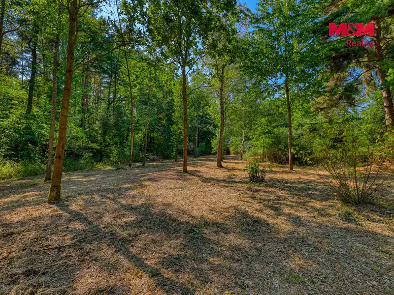 Prodej zahrady 2248 m², Velký Bor – náhled fotky 3