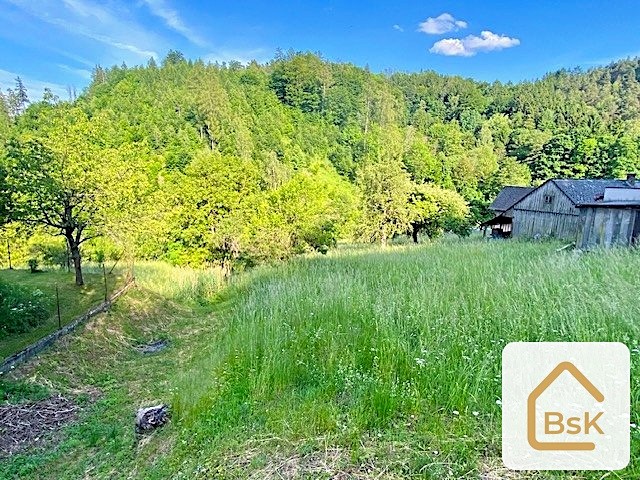 Ділянка на продаж, 2 434 м² (12 з 15)