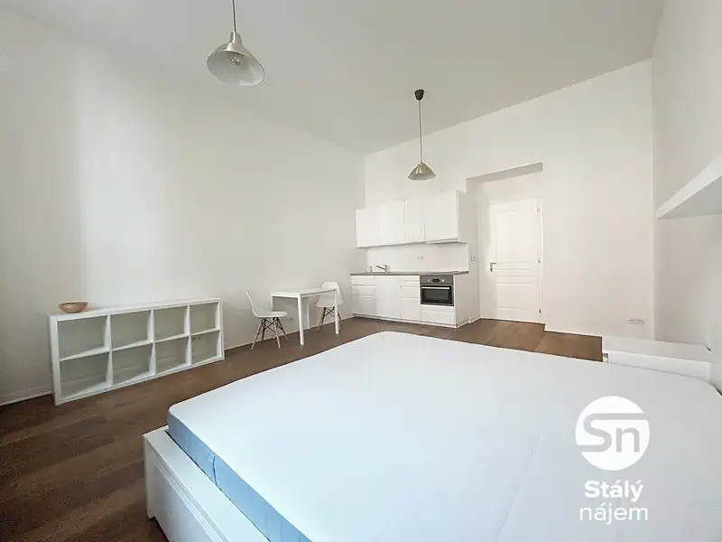 Pronájem bytu 1+kk 42 m², Praha – náhled fotky 2