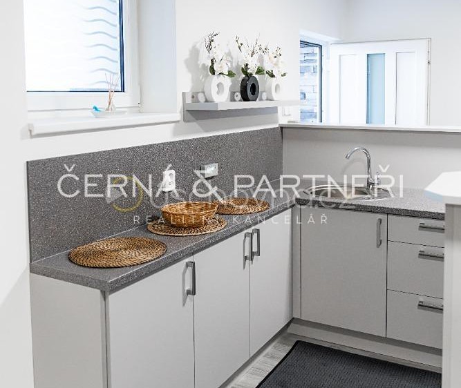 Pronájem komerčního prostoru, 105 m² (13 z 15)