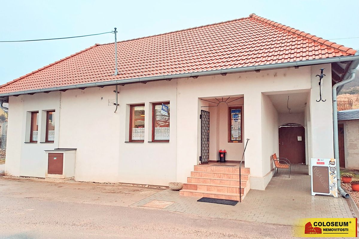 Pronájem obchodního prostoru 69 m², Dyje – fotka 1 z 3