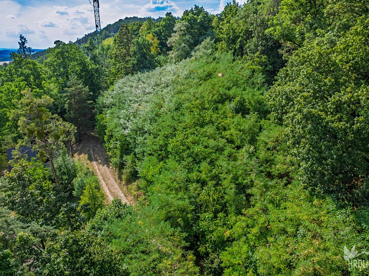 Prodej pozemku, 2 338 m² (4 z 22)